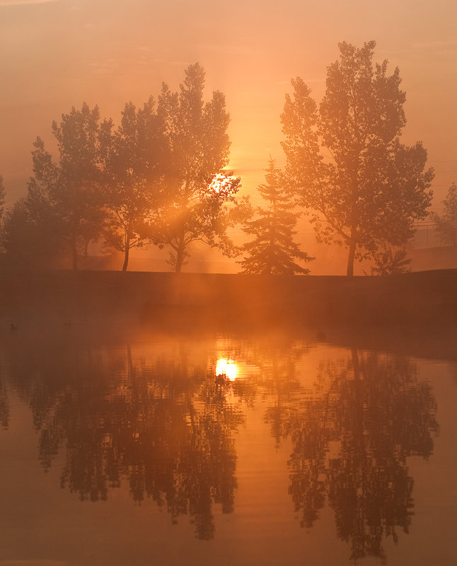 Early morning (1 of 1).jpg