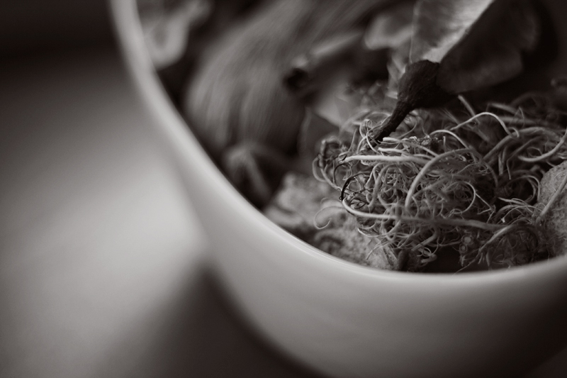 Day 23 - Pot Pourri