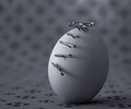 stabbed egg alone (still life outtake)