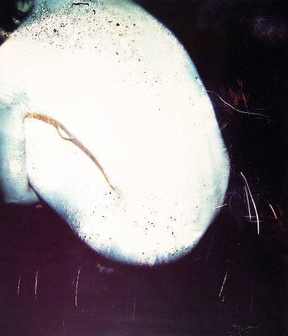 untitled (spine)