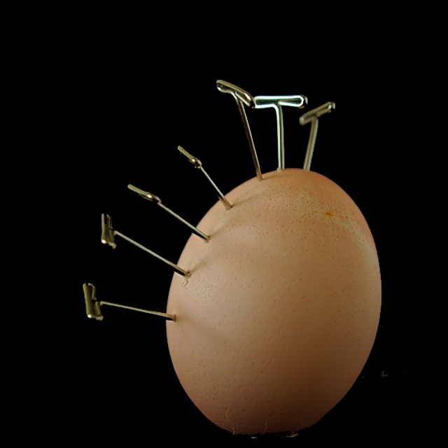 punk egg inside of a square format