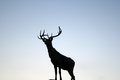 Deer Silhouette