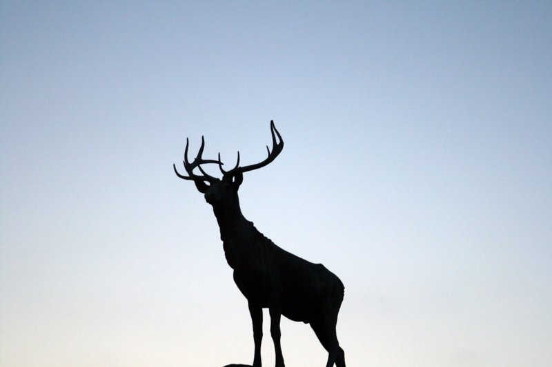Deer Silhouette