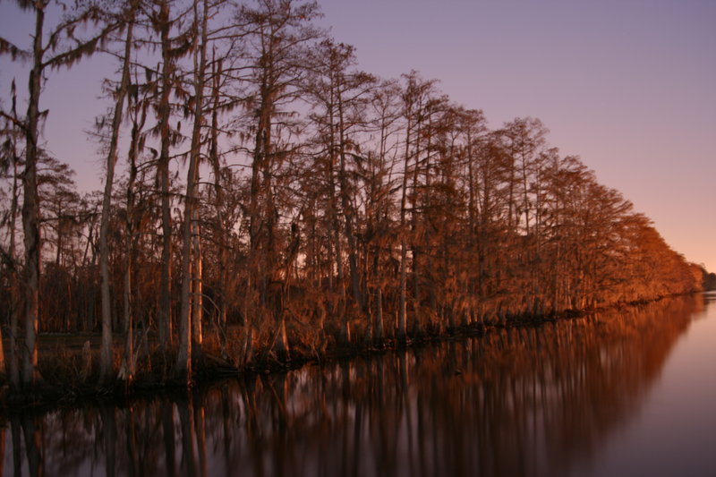 Down by the Bayou