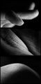 Handscape