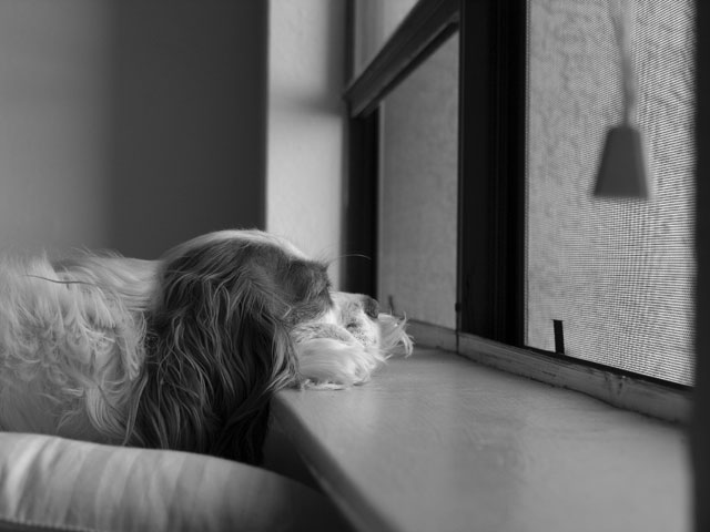 Ellies-Rainy-Day.jpg