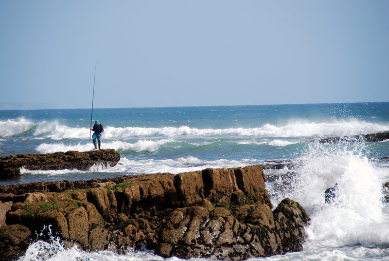 Catching Dinner Parede Portugal.JPG
