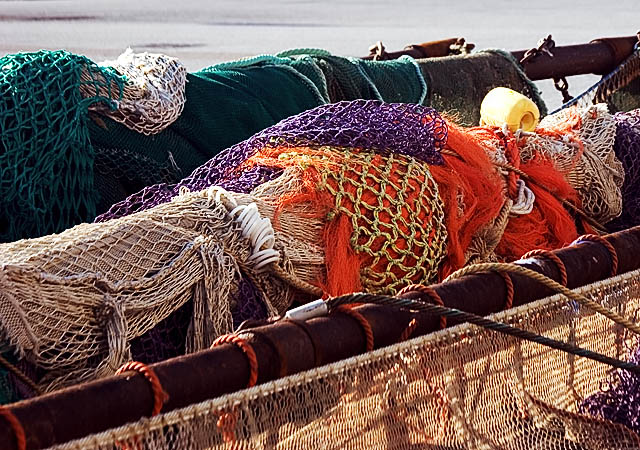 Fish nets