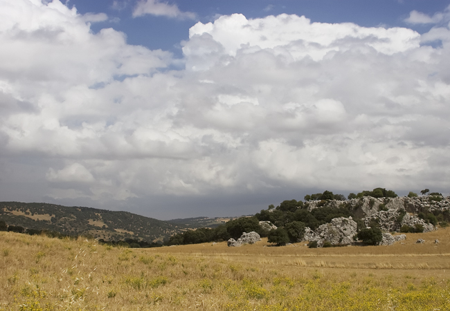 Montejaque