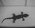 Gecko monotone