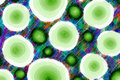 BUBBLES