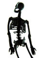 SKELL