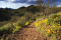 Path