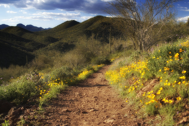 Path