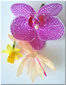 Flower mix