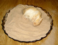 Curry is taking a sandbath