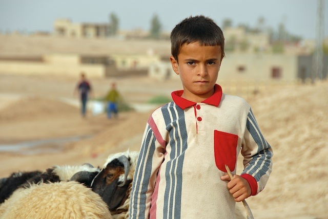 Another Herder