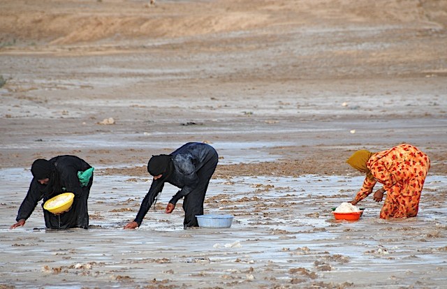 Gathering Salt (cropped)