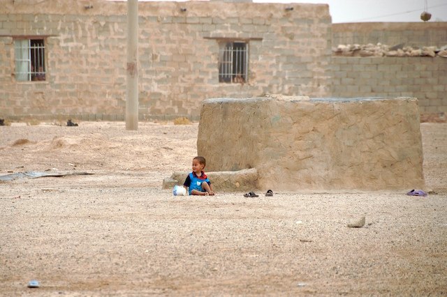 Lone Baby