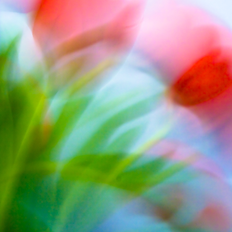 Blur 1.jpg