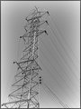 Day 30 - Power Lines