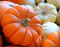 Day 15 - Pumpkins