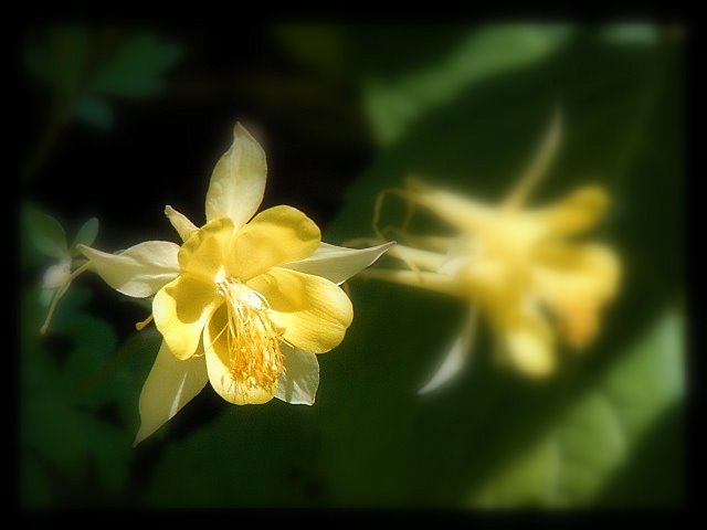 Day 3 - Columbine