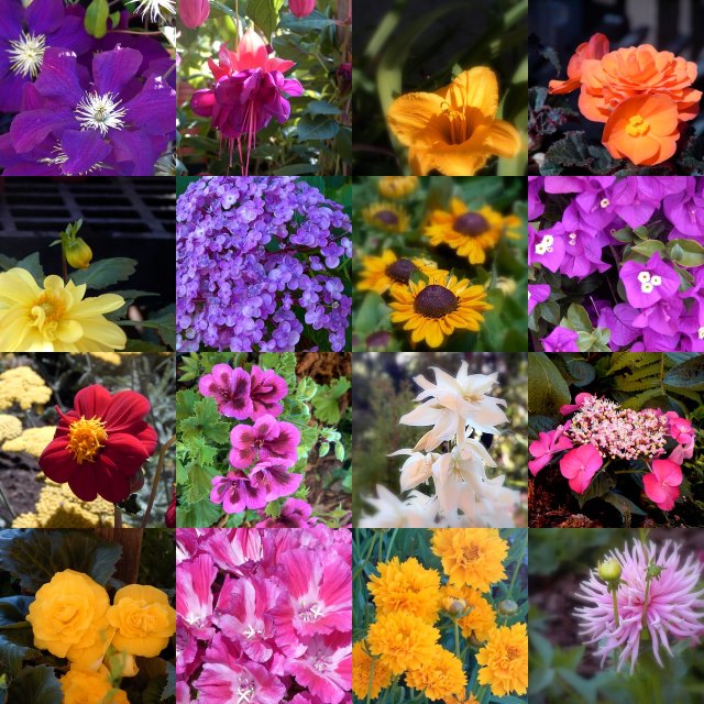 Floral Collage