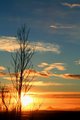 One more sunset