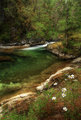 little qualicum falls II.jpg