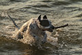 patches_beach