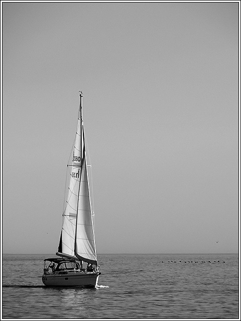 Sailing