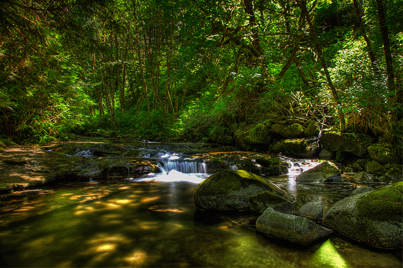 IMG_6331_2_3_4_5_6_tonemapped