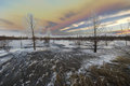 Chinook Arch