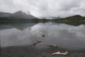Upper Kananaskis Lake