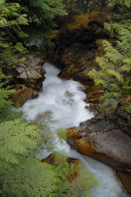 Water at it's purest