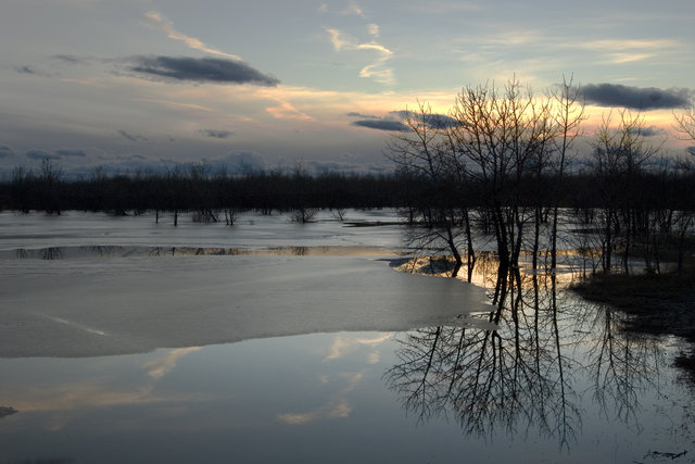 Reflection of Early Spring