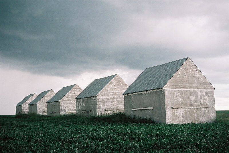 Quintuplets in a field