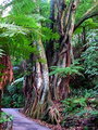 DSCF0870web.JPG