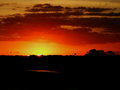 DSCF1337web.JPG