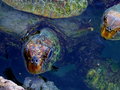 DSCF0378web.JPG