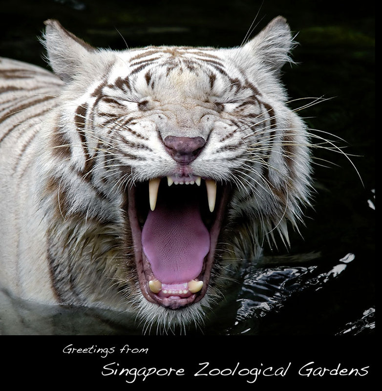WT_Zoo