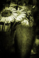 flowers.jpg