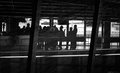 Reflections (Week 11)