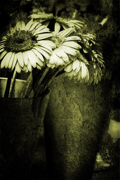 flowers.jpg
