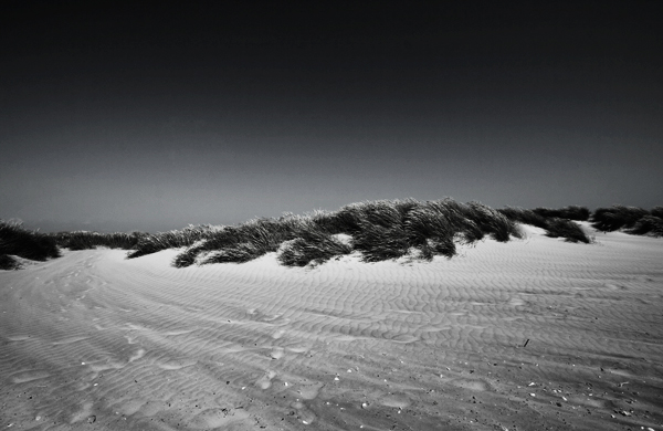 Dunes (Week 26)