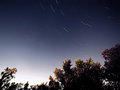 Evening Star Trails