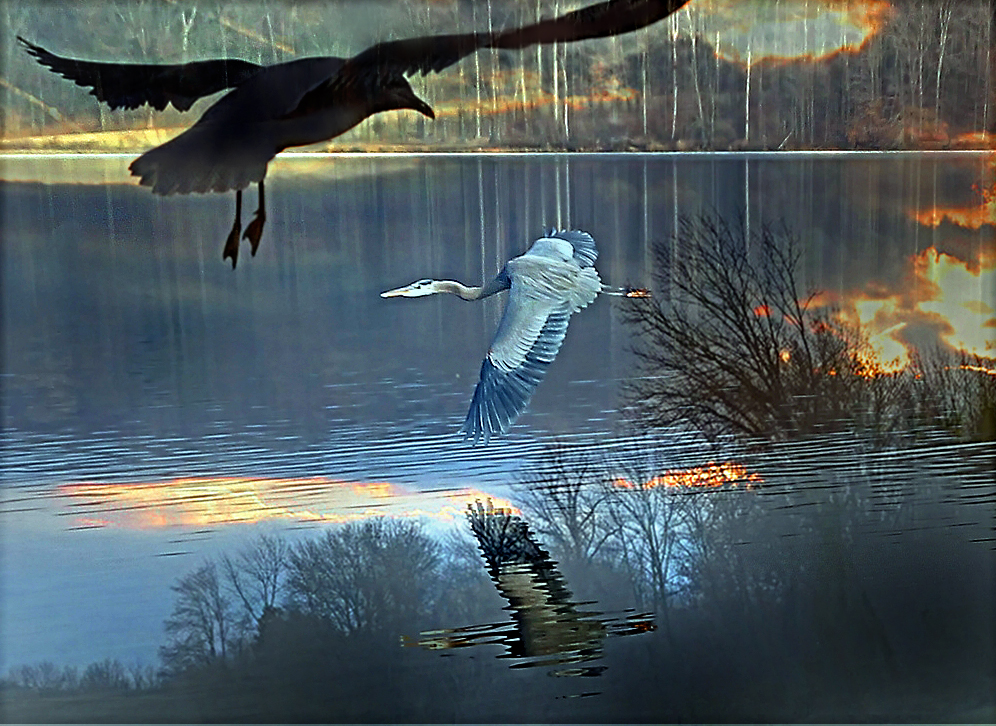 In Flight