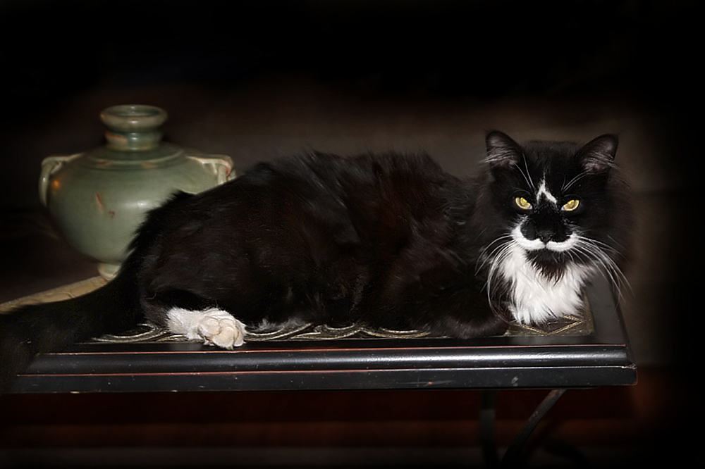 Dexter April 2016