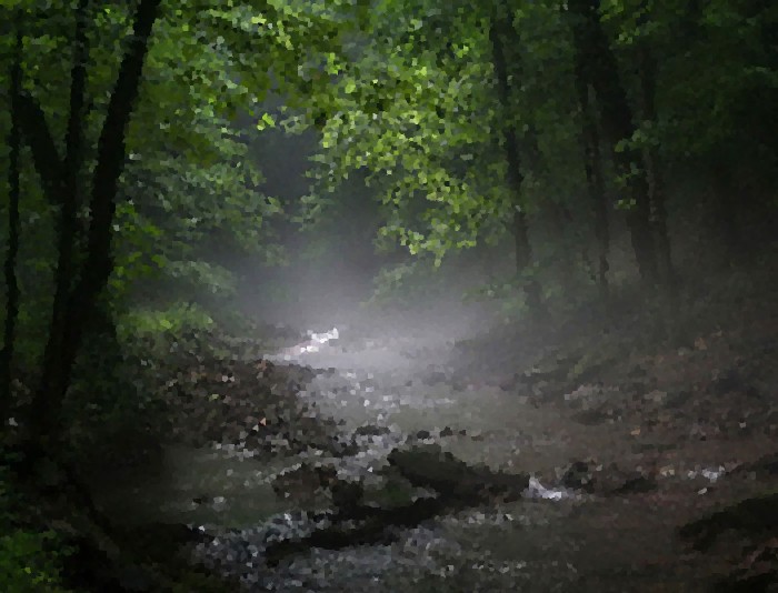 Impressionistic Fog